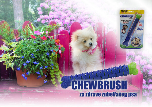 ChewBrush - Rešenje za problem zadaha Vašeg psa - Image 7