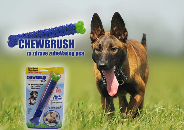 ChewBrush - Rešenje za problem zadaha Vašeg psa - Image 2