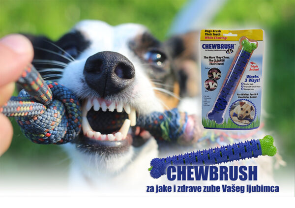 ChewBrush - Rešenje za problem zadaha Vašeg psa - Image 4